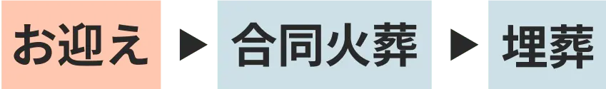 お迎え ▶︎ 合同火葬 ▶︎ 埋葬