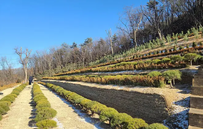 合同供養墓の画像